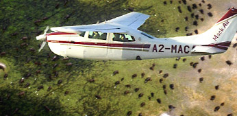 More action - scenic flights, helicopter rides, boat trips and more
