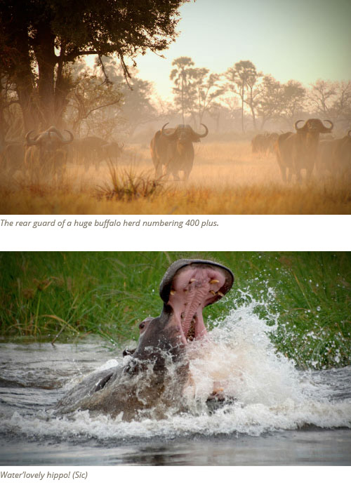 Okavango
