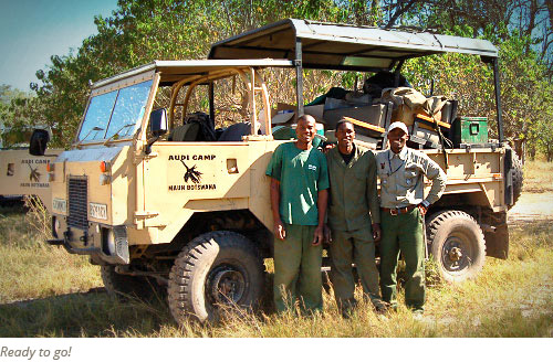 Safaris in Botswana