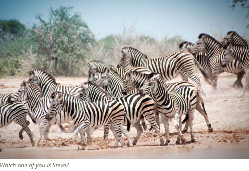 Nxai Pans and Baines Baobab Safari Package