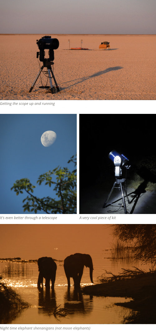 The Night Skies of Botswana