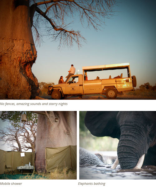 What to expect on your Safari